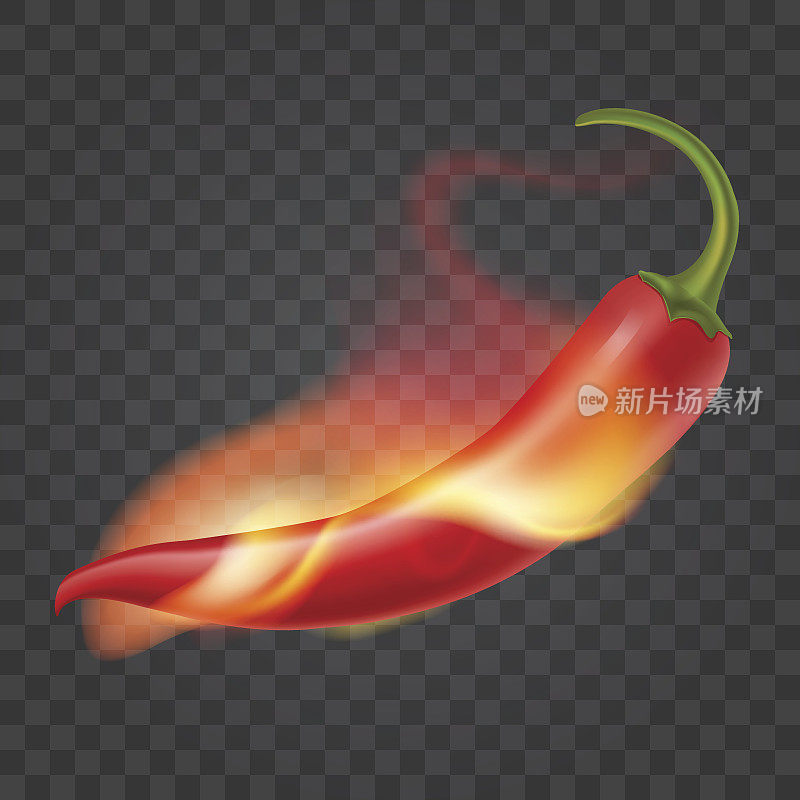 Hot chili pepper on fire. Flame around red pepper. Isolated on transparent background. Realistic illustration. Vector eps 10.